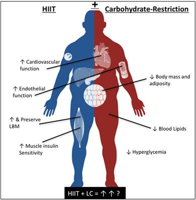 carbohydrate restriction interval training intensity metabolic benefits body carbohydrates exercise lifestyle optimal diseases combination treating frontiersin hiit diet nutrition disease